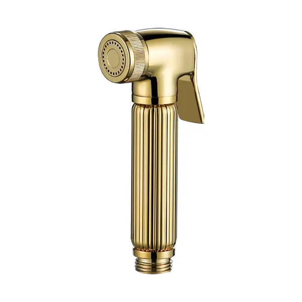 Cén fáth ar chóir duit spraeire bidet a mheas do do sheomra folctha: Treoir chuimsitheach